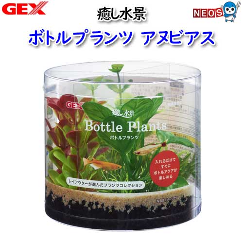 パケパフ350　GEX　癒し水景 ボトルプランツ アヌビアス