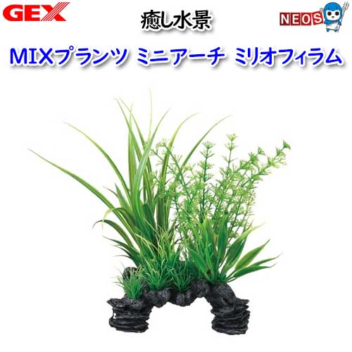 『商品説明』 水槽に入れるだけで華やかなレイアウトが完成する寄せ植えプランツ 石とプランツのミックスタイプ。1つ置くだけでリアルな水景を演出します。 アーチ形状なので魚の通りぬけ、隠れ家にも。 『本体サイズ』 約幅12.5×奥行7×高さ20cm ※リニューアル等により予告なくパッケージ、仕様等の変更がある場合がございます。予めご了承ください。
