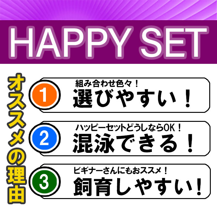 ネオス 楽天市場店の（めだか）【ハッピーセット】ヒメダカ　（約2cm)(10匹) ＋ マツモ(3本)｜アングル3