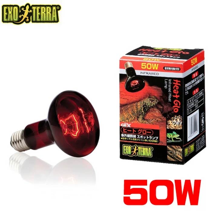 Rakuten - パケパフ350GEX　EXO TERRA（エキゾテラ）　ヒートグロー 赤外線放射 スポットランプ 50W　PT2141