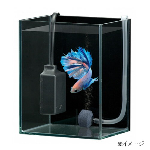 �ѥ��ѥ�350��GEX���٥����ҡ�������SH 10���ݲ�����