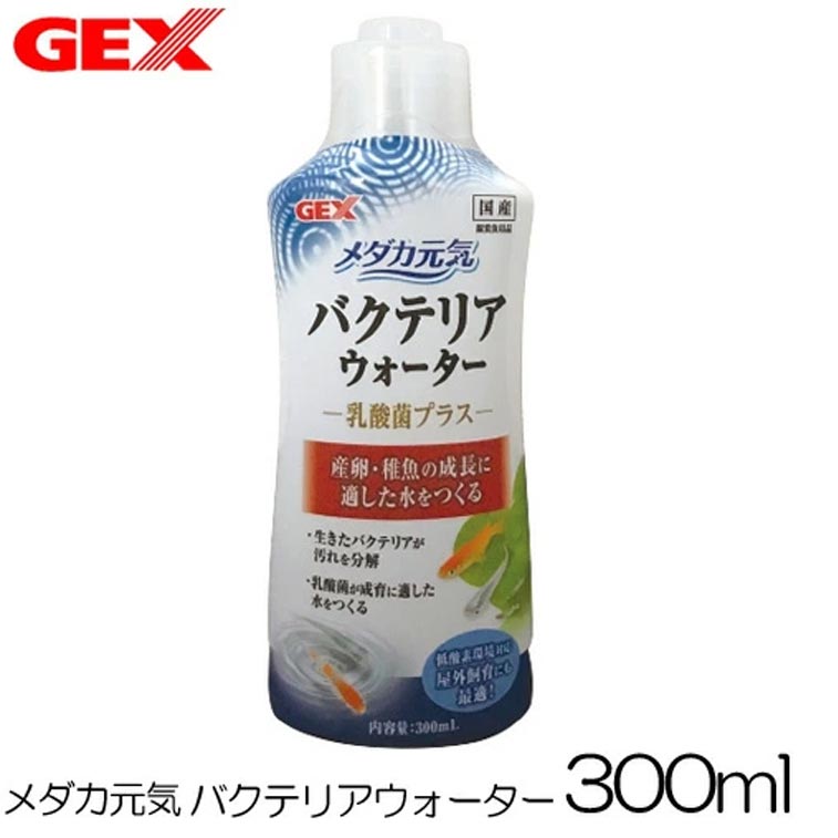 ジェックス　メダカ元気 バクテリアウォーター 300ml 『特長』 屋外飼育環境でもしっかり働くバチルスコアグランスをはじめとした複数種の菌を配合!乳酸菌がメダカの成長に適した水をつくります。 『内容量』 300ml [tank]