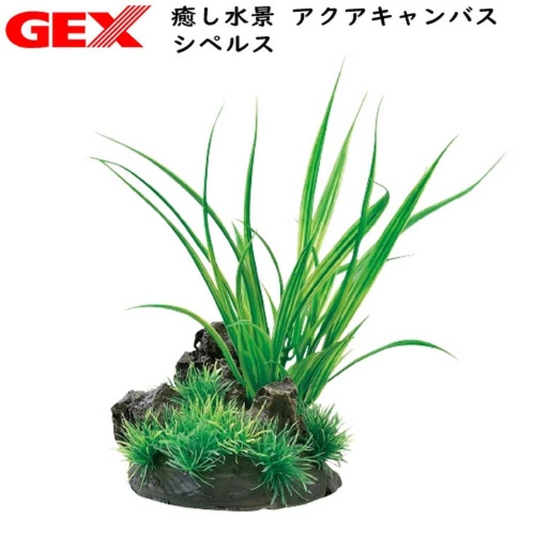 樂天商城 - パケパフ350円GEX　癒し水景 アクアキャンバス シペルス