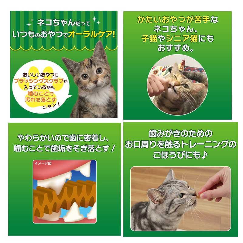 ネコポス290円ライオン　PETKISS　猫ちゃんの歯みがきおやつ　やわらかまぐろ味　14g 2