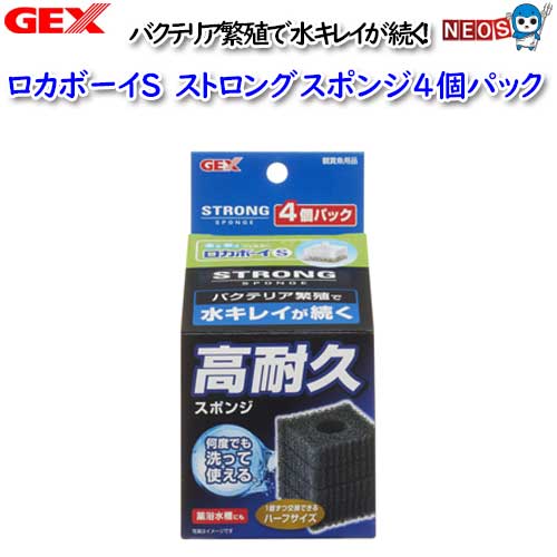 パケパフ350円GEX ロカボーイS ストロングスポンジ4個パック