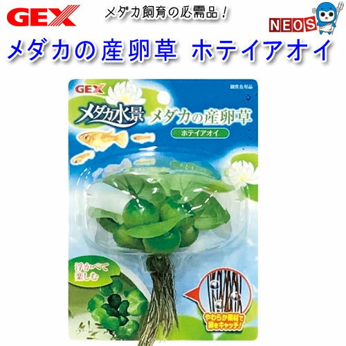 パケパフ350円GEX　メダカの産卵草　ホテイアオイ