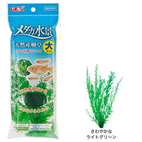 パケパフ350円GEX　メダカ水景 天然産卵草　大
