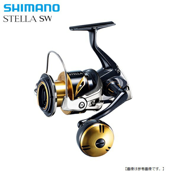 シマノ 20 ステラ SW 6000XG 送料無料[リール]