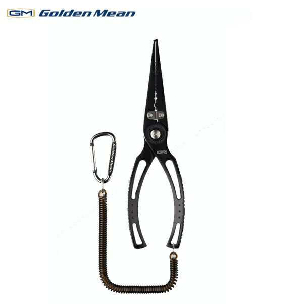 ǥߡ GMץ饤䡼T-3󥰥Ρ֥å ᡼ [5]