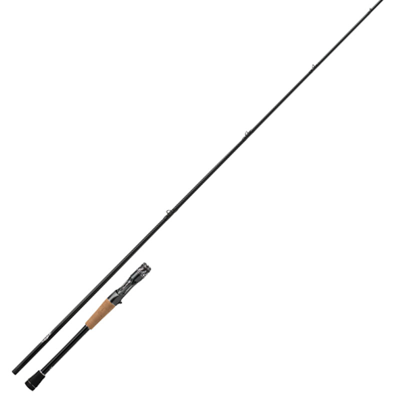 6199a.jpg