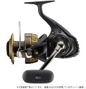 ダイワ（DAIWA） 16BG 5000H スピニングリール