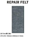 4/25はエントリーで最大P19倍 ザップ パズデザイン ブーツ用替えフェルト 2枚 ZAC-933 REPAIR FELT