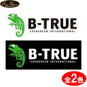 エバーグリーン B-TRUE ボートディカル L (ステッカー)