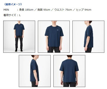 ダイワ ショートスリーブビッグシルエットTシャツ フェザーグレー DE-84009 (フィッシングシャツ)