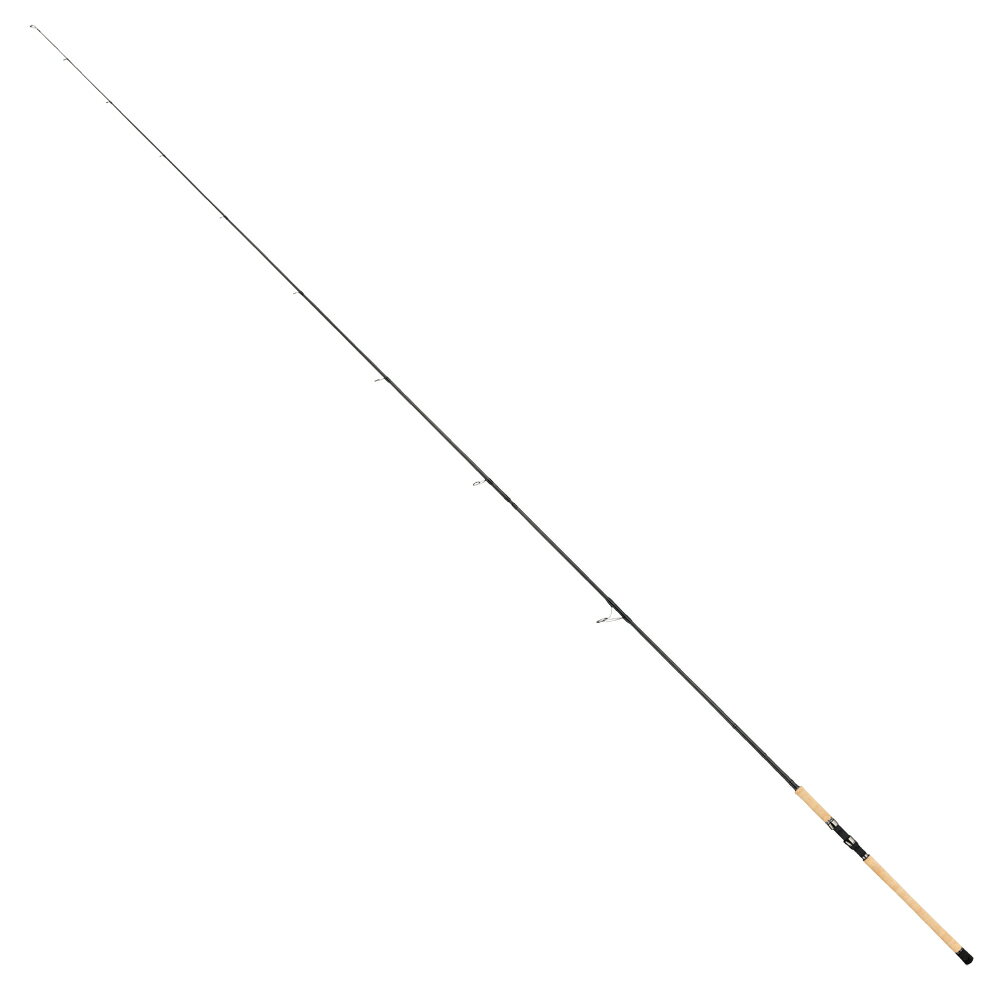 テイルウォーク ケイソンギンセイ TZ 116H 17185 (アキアジ サーモン トルザイトリング)(大型商品A)