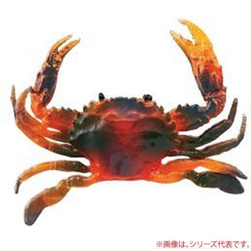 եåͷ㤨֥ʥ 勵ꥬ M No.2407 (٥ȡפβǤʤ308ߤˤʤޤ