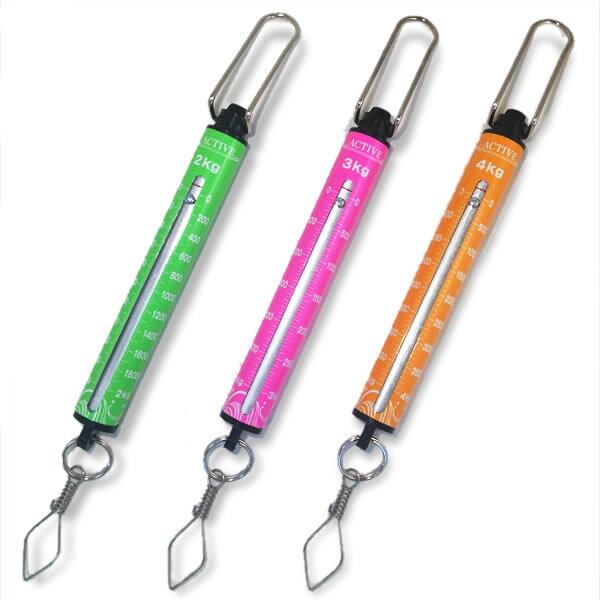 アクティブ イカスケール (スケール メジャー)