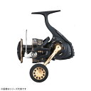 ダイワ 23 BG SW 6000D-P (スピニングリール)