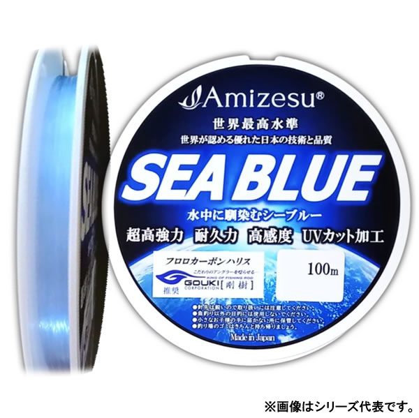 アミゼス フロロカーボンハリス SEA BLUE シーブルー 100m 12号 (ハリス) ゆうパケット可
