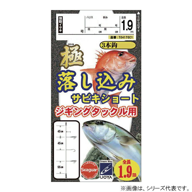 ハヤブサ 極落込サビキショートジギング用 10-10 魚矢オリジナル T04170C1 (胴突仕掛け 釣り) ゆうパケット可