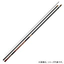 ダイワ 銀影競技スペシャル MT H90 K (Daiwa 竿 ロッド 鮎 釣り)(大型商品A)