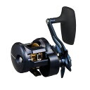 ダイワ 25 ソルティガ 300L (Daiwa ジギングリール 釣り 左)