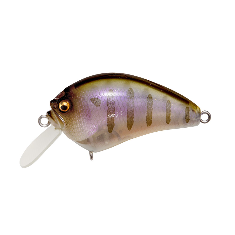 【11/20～ エントリー＆3点でP10倍】　メガバス アイバイアイ ブローリー ギルっ子 (ブラックバスルア..