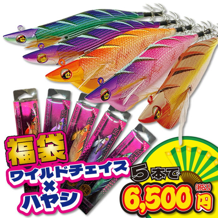 【組み合わせ自由】2025 ワイルドチェイスB-TR ハヤシオリカラ福袋 5本セット SQUID MANIA WILD CHASE スクイッド マニア 3.5号 B-TR ティップラン ティップラン イカ釣り エギ 3.5 号 イカエギ いか イカ 餌木 ルアー 夜 視認性 エギング ケイムラ アオリイカ