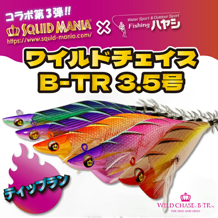 【 スクイッドマニア フィッシングハヤシ 】 SQUID MANIA WILD CHASE スクイッドマニア ワイルドチェイスb-tr 3.5号 B-TR ティップラン ティップラン イカ釣り エギ 3.5 号 イカエギ いか イカ 餌木 ルアー 夜 視認性 エギング 光る ケイムラ アオリイカ 釣り具