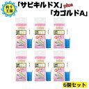 仕掛け 「サビキルドX」+「カゴルドA」 サビキ釣り サビキカゴ 6個セット 送料無料 釣具 オルルド釣具 釣り具