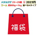 【2023年】福袋 2023円 大量ルアーセット 選べる4タイプ 大量 ライトショアジギング ジグ・ワーム各種 大放出 青物 ジギング 海釣り ルアー 大容量 ハッピーバッグ 魚 疑似餌 ソフトルアー ハードルアー オルルド釣具 送料無料