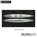 アンチョビメタル TYPE-1 100g グローストライプ ジャッカル 太刀魚 船釣り タチウオジギングに最適(4)