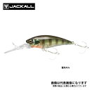 ディービルシャッド 55MR 弱光ギル ジャッカル(4)
