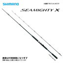 20 シーマイティー X 64 50-300 シマノ 2020モデル 大型便A
