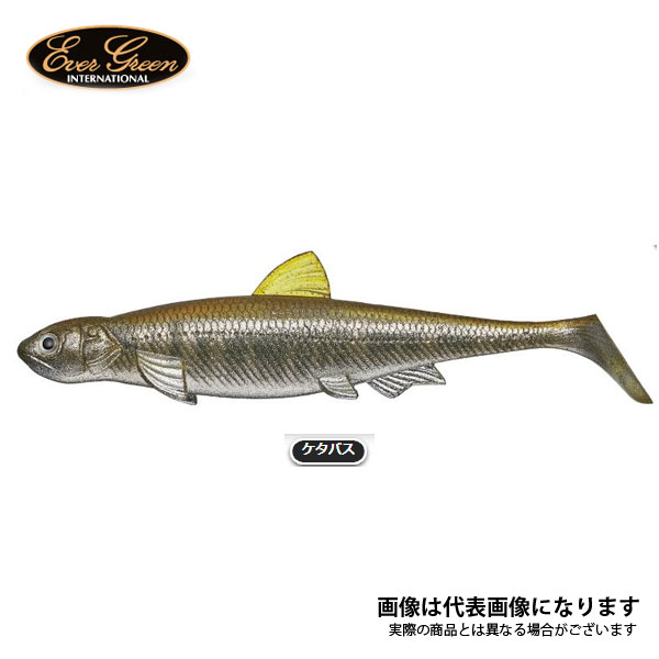 ラストエース140スイム #77 ケタバス エバーグリーン