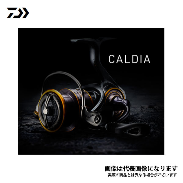 カルディア LT2500 2021新製品 ダイワ リール