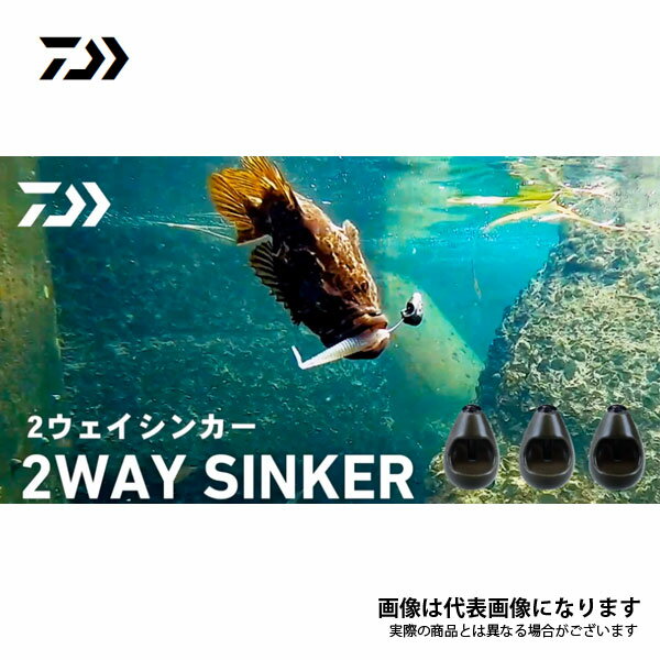 2WAY SINKER 24g 