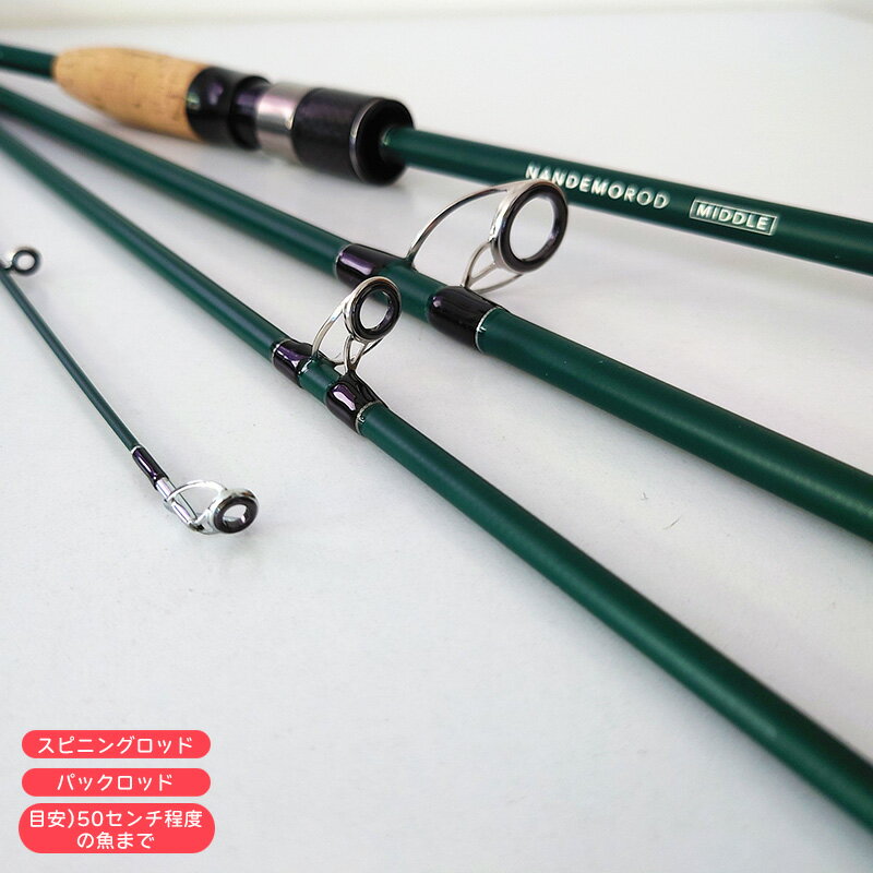 オシャレで安くてナンデモ釣れるパックロッドを発見!使い物になるのか