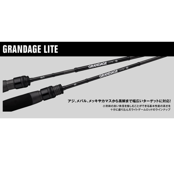 ԥAPIAGRANDAGE LITE 55 緿A