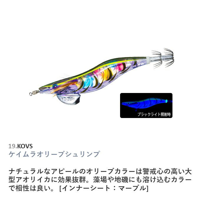 ꡼Q 3D 3.0 #19.KOVS 饪꡼֥ ǥ奨   ꥤ