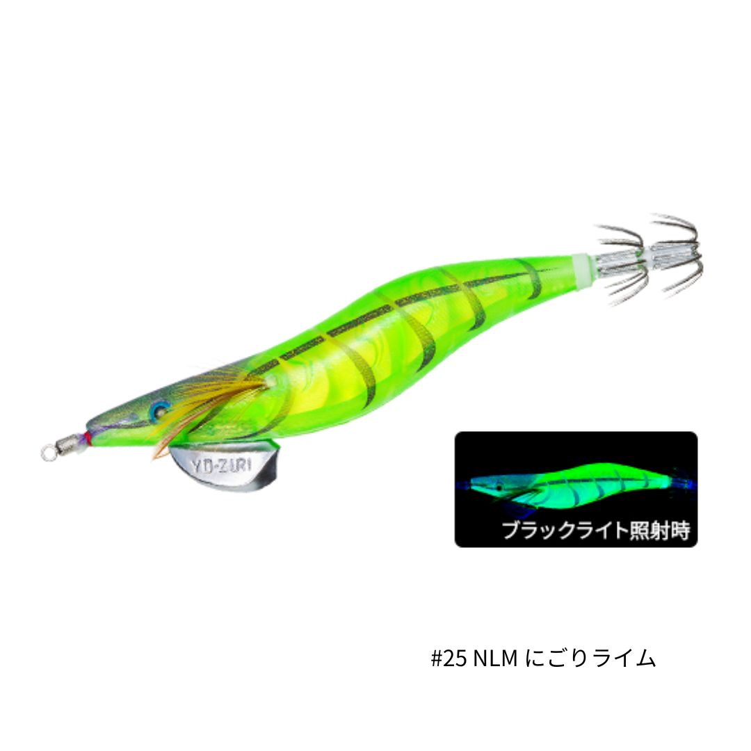 ǥ奨 ꡼Q 3D 3 #25 NLM ˤ饤