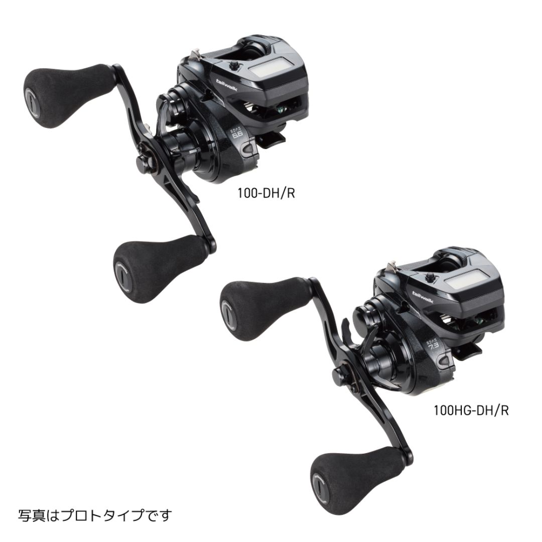 tailwalk(テイルウォーク） VILAYER (ヴィレイヤー) DG 100HG-DH/L 2