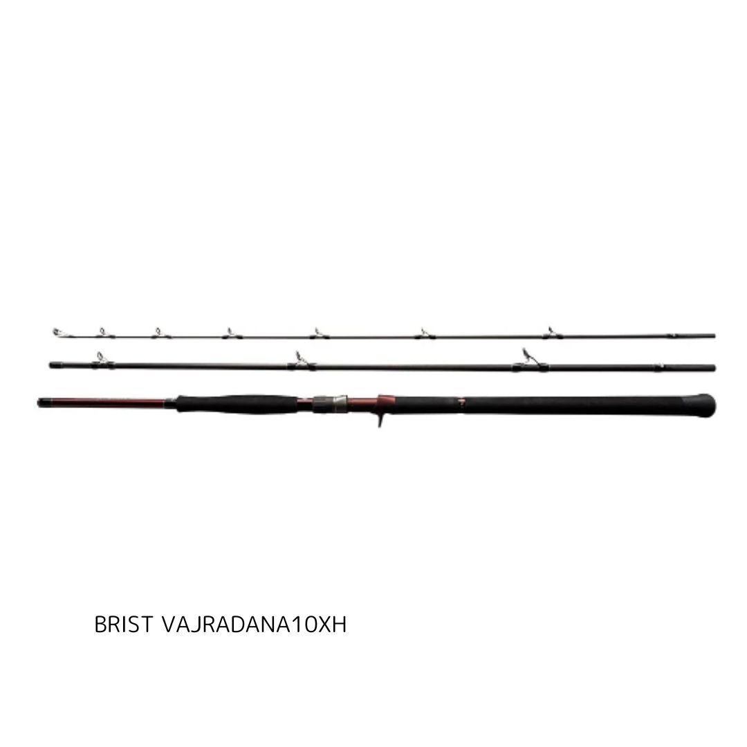 Fishman（フィッシュマン） BRIST VAJRADANA10XH　ブリスト バジュラダーナ 大型便A 2024年新製品