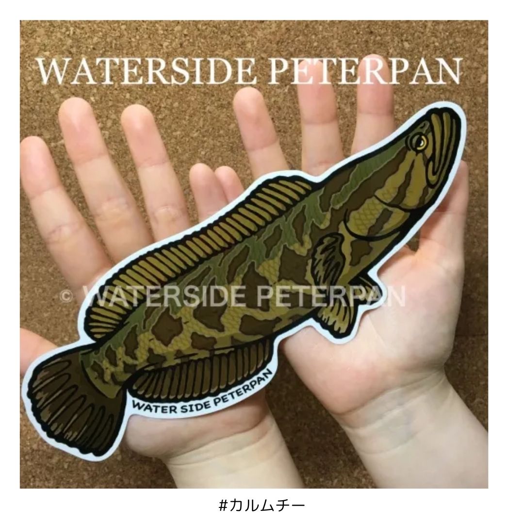 Bigお魚 ステッカー #カルムチー ウォーターサイドピーターパン