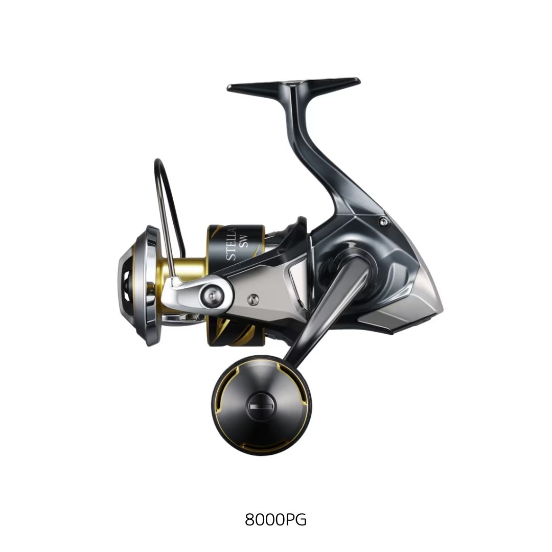 25ステラSW8000PGSHIMANO