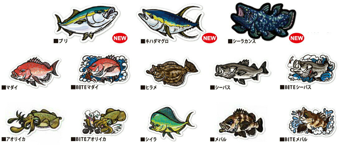 【2021年新柄追加】ウォーターサイドピーターパン ソルトオリジナルステッカー R (その1) 【ネコポス配送可】通販格安セール情報 楽天 通販