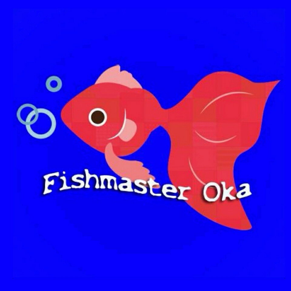 | フィッシュマスターオカ金魚専門店 - 数多くの厳選