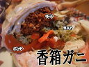 【送料無料】アウトレット石川産香箱ガニ(小サイズ)1Kg(8?12杯)【訳あり】(せいこ蟹・せこがに)【楽ギフ_のし】