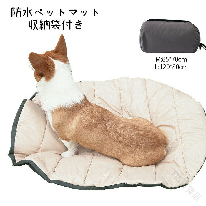 ڥåȥޥå ɿ  ǭ ޥå  ӥ  ȥɥ 쥸㡼   륷б ͵ դդ說åդ ...