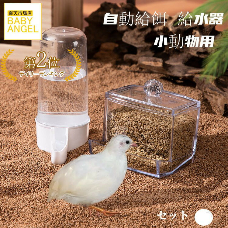 鳥 給餌器 自動餌入れ 水入れ 自動給水器 自動給餌器 鳥 小動物 ペット用 両用 セット 容器 プラスチッ..